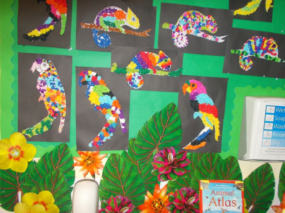 rainforest-drawing-for-kids